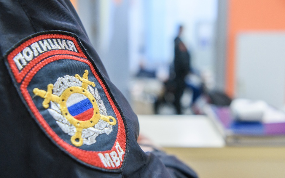 В Москве нашли детей, забивших камнями кота и несколько птиц