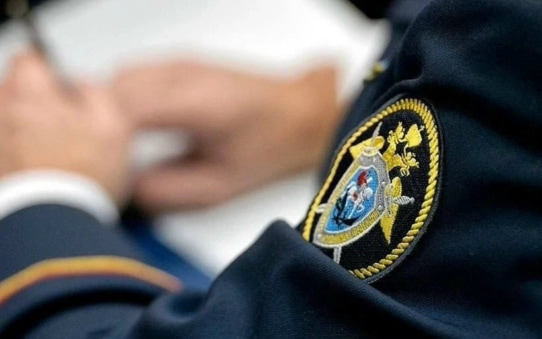 Удары напольной лампой и ногами по голове: омич жестоко убил свою сожительницу