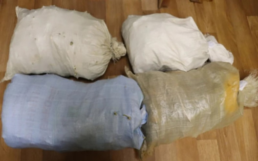 Полицейские изъяли у жителя Приморья крупную партию конопли и гашишного масла