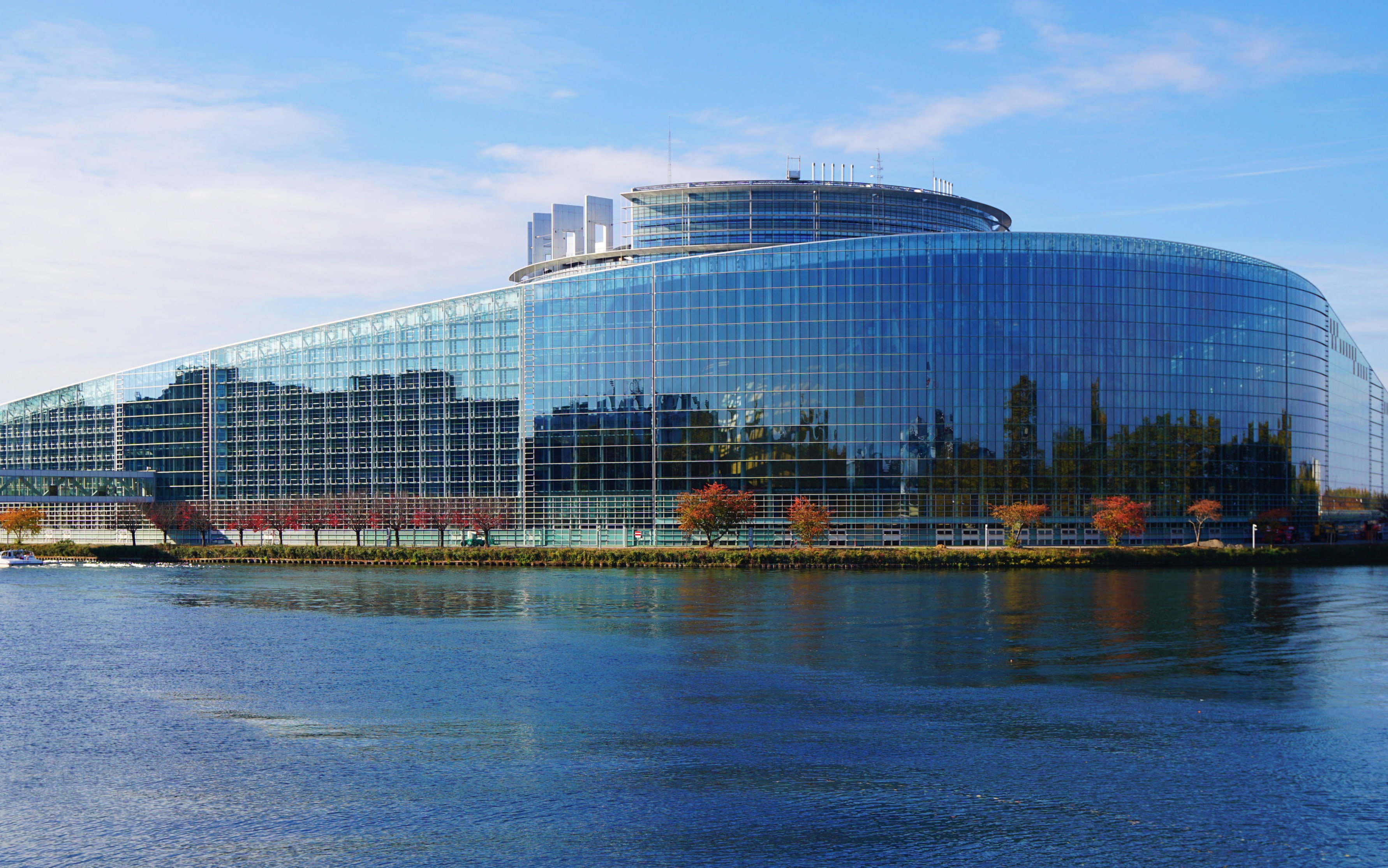 Politico: убийство у Европарламента в Брюсселе напугало сотрудников ЕС