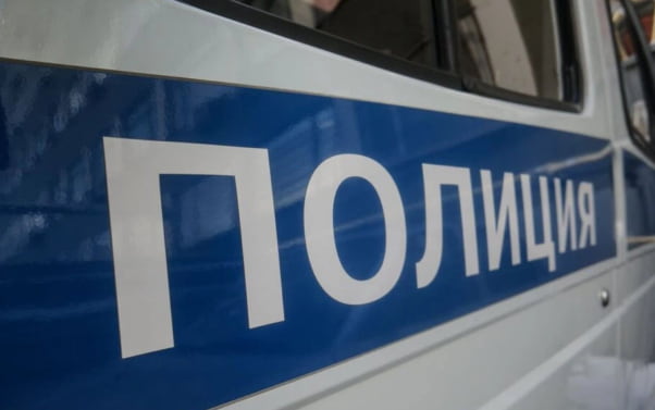 Двух девочек, сбежавших из детсада в Санкт-Петербурге, нашли