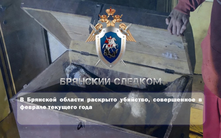 Супруги из Брянской области убили женщину и спрятали ее тело в сундук