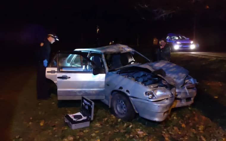 В Свердловской области легковушка наехала на корову, погибли человек и животное