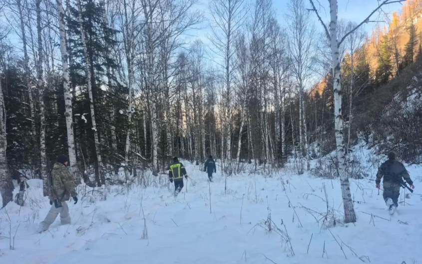 МЧС: более 40 человек ищут пожарного, который пропал в Горном Алтае
