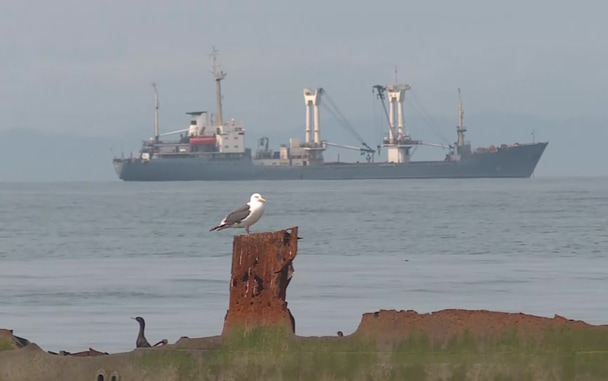 Морское сообщение Сахалина с материком закрыто из-за непогоды
