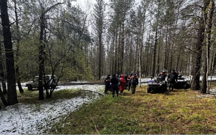 В "ЛизаАлерт" объяснили, почему часть поисков Усольцевых не удалось осуществить
