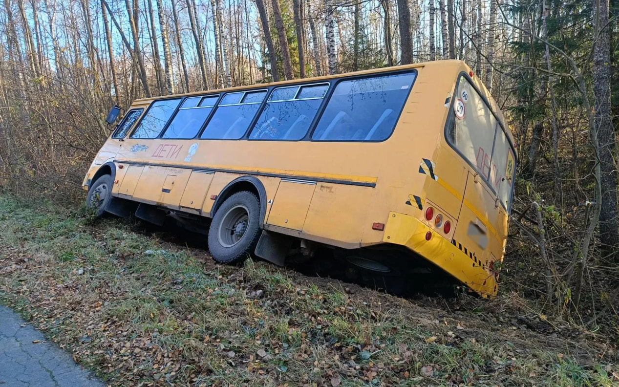 Во Владимирской области в ДТП попал школьный автобус