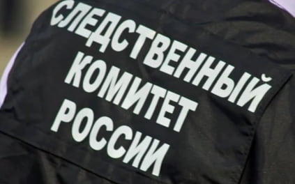 Возбуждено уголовное дело после гибели 9-летней девочки в ДТП в Хабаровском крае