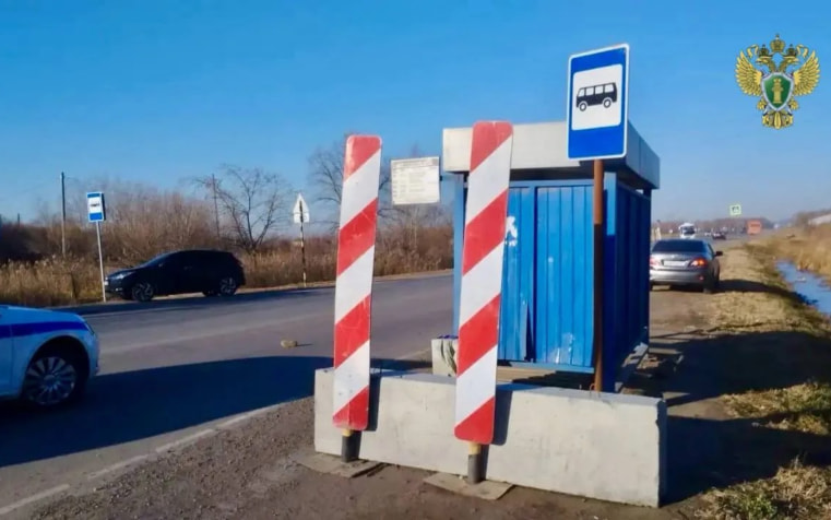 В Хабаровском крае арестован водитель, виновный в гибели 9-летнего ребенка