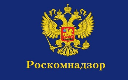 Роскомнадзор требует взыскать с блогера Wylsacom почти полмиллиона за рекламу