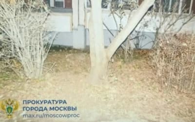 Прокуратура выясняет личности родителей ребенка, найденного в Зеленограде