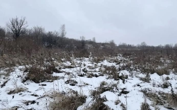 Следком показал, в каком месте в Ачинске было найдено тело пропавшей девочки