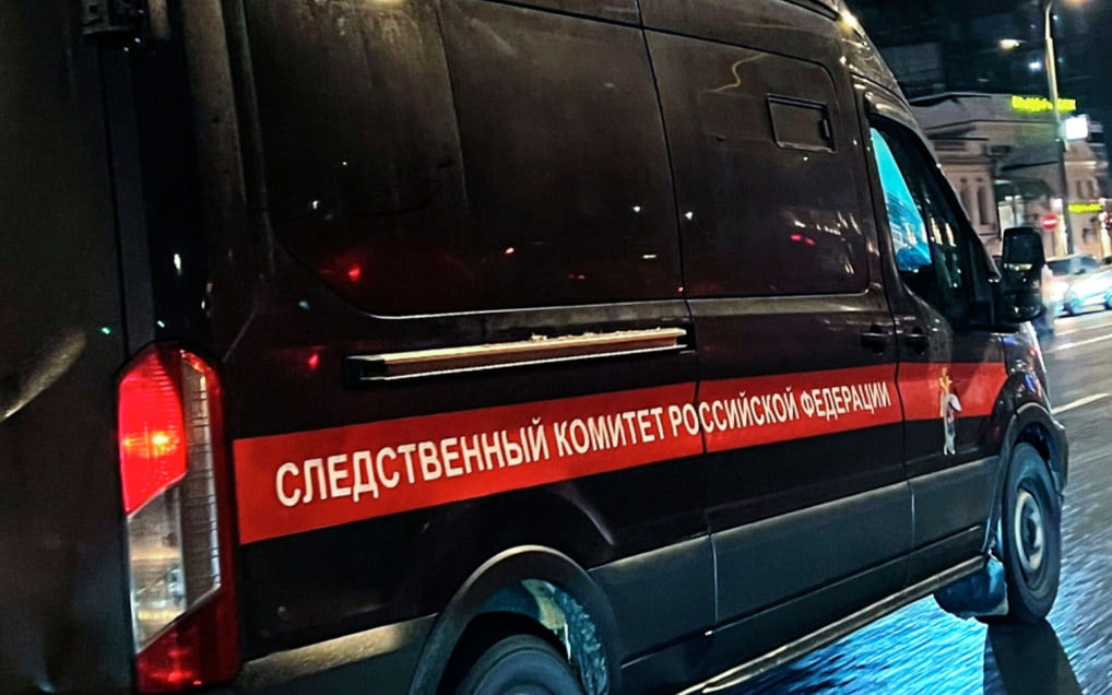 Травлей детей в школе Петербурга заинтересовались следователи