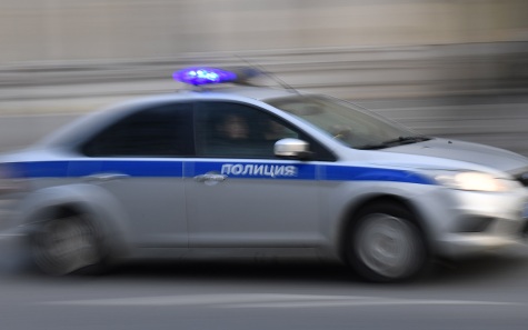 В Туапсе мужчина напал на волонтеров, вывозивших с пляжа животных в нефти
