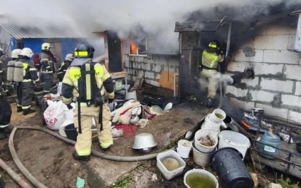 Хозяйка собак сообщила о гибели 200 питомцев на пожаре в Нижнем Новгороде
