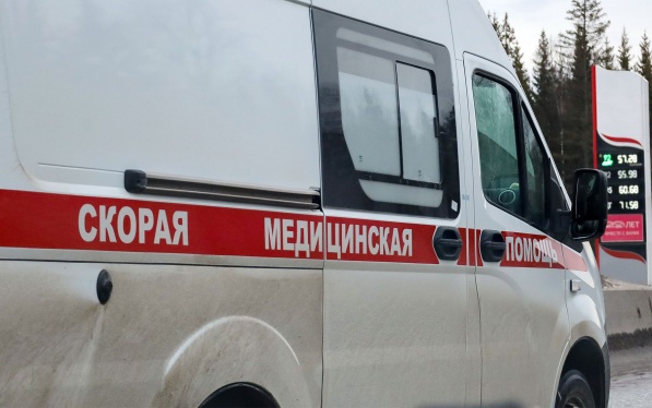 В Подмосковье экзотическая змея укусила блогера, попытавшегося ее покормить