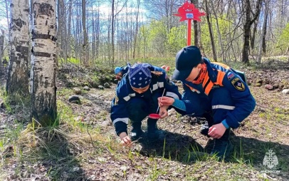 Поисковики Академии МЧС обнаружили останки 29 красноармейцев
