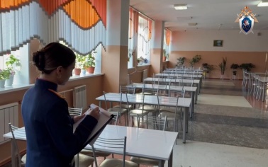 После отравления 33 кадетов в Красноярске возбудили уголовное дело