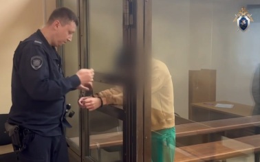 Арестован обвиняемый в покушении на убийство 7-летней девочки в Наро-Фоминске