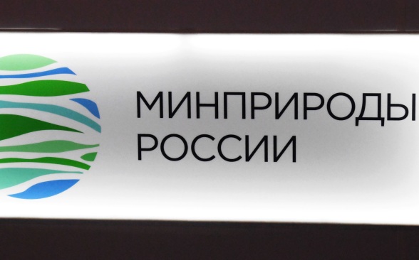 Стали известны имена кандидатов на посты замглавы Минприроды России