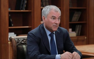 Володин пообещал новые решения в борьбе с телефонными мошенниками