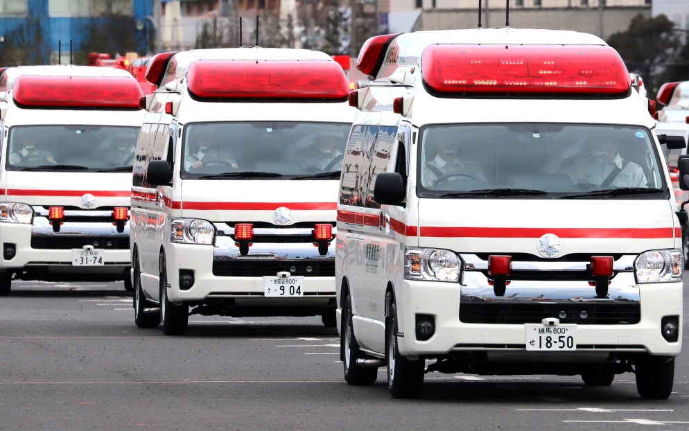 Медведь набросился на россиянина в Японии, у мужчины повреждены руки и лицо