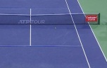 У чемпиона US Open аргентинского теннисиста дель Потро украли кубки и медали