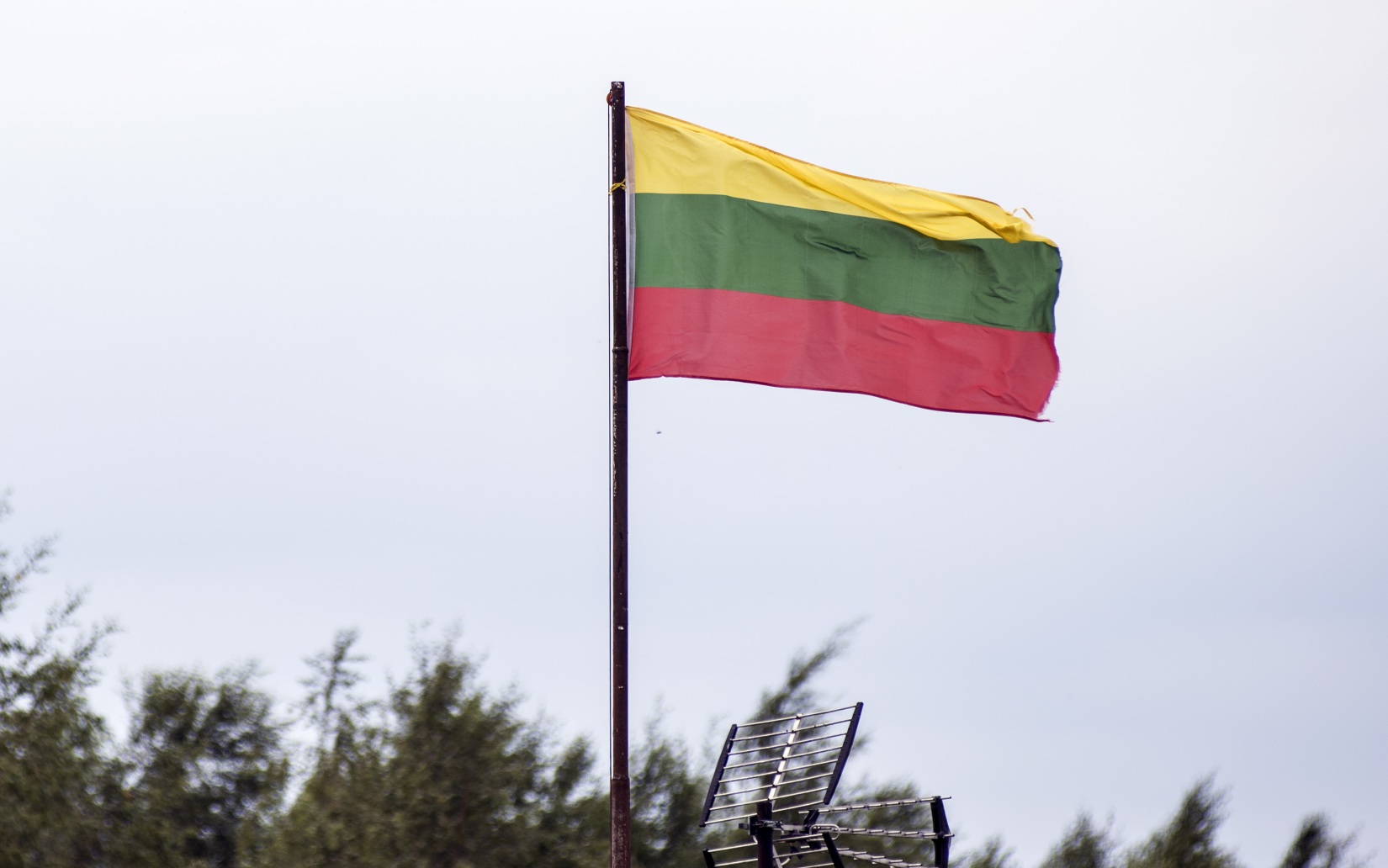 Литва планирует создать минное поле на границе с РФ, пишут СМИ
