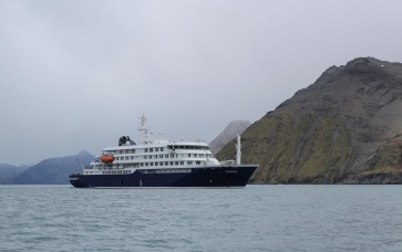 В Нидерландах сообщили об отсутствии симптомов хантавируса у экипажа MV Hondius