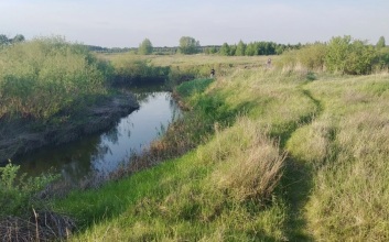 В Курганской области 11-летний мальчик утонул при купании в реке