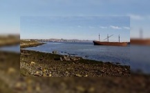 У побережья Великобритании обнаружили "вечные химикаты"