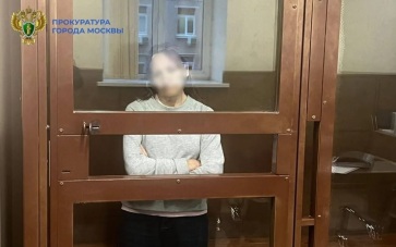 Женщину, толкнувшую ребенка в московском метро, отправили лечиться