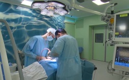 У жителя Курской области извлекли 12-сантиметровую ветку из глаза