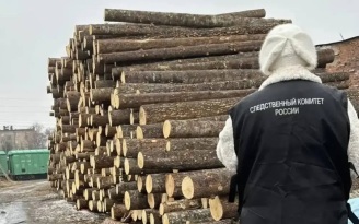 СК завершил расследование уголовного дела о гибели ребенка в Приморье