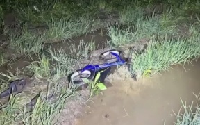 Появились кадры с места поисков пропавшей девочки в Тульской области
