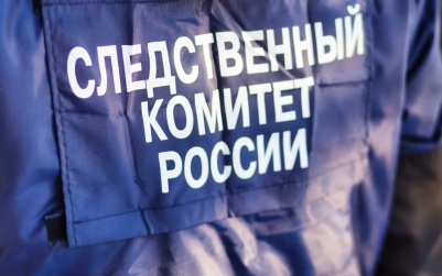 В Приморье следователи проверяют инцидент с травмированием девочки квадроциклом