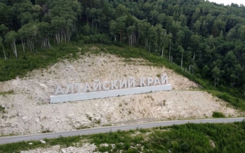 В Алтайском крае для спасения исчезающей кабарги хотят создать нацпарк