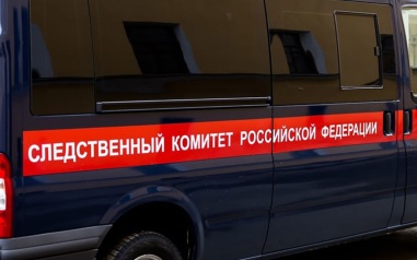 В Челябинске в игровой комнате избит 7-летней ребенок, проводится проверка