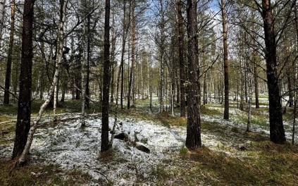 За три дня спасатели прошли 28 кв. км горной тайги в поисках семьи Усольцевых
