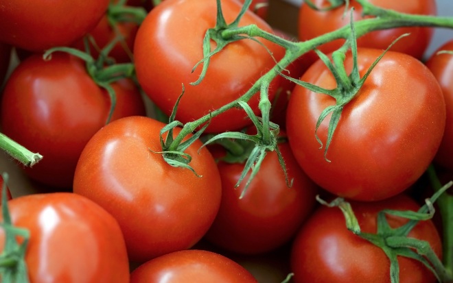 Россельхознадзор с 30 мая приостановит импорт плодоовощной продукции из Армении
