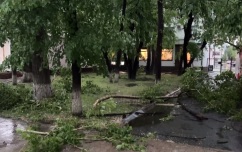 В Тюменской области ветер вырвал с корнем деревья и повредил обшивку домов