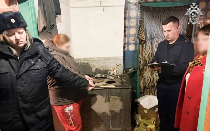 Жительнице Приамурья, убившей сожителя тетки, грозит принудительное лечение