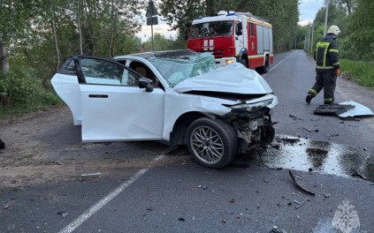 Легковушка врезалась в дерево в Калининградской области, погибли два человека