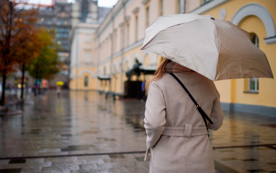 В конце недели в Москве прогнозируется дождь с грозой
