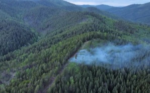 В Бурятии произошел лесной пожар из-за обрыва ЛЭП