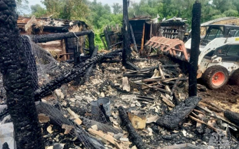 В Саратовской области сгорел сарай с цыплятами, кроликами и быком