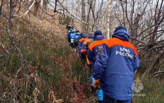 Пенсионерка пропала в Елизовском округе Камчатки