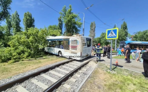 В Саратове пассажирский автобус въехал в дерево
