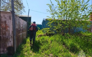 На Камчатке ищут пропавшую пенсионерку