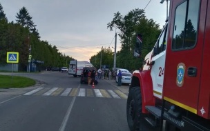 Пьяный экс-глава Тарусы сбил женщину